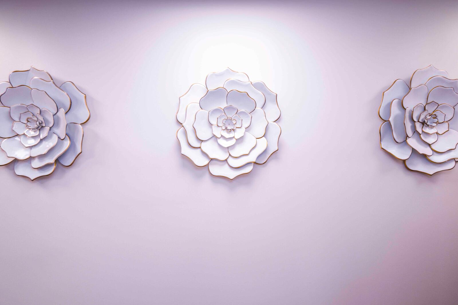 Precision Aesthetics suite